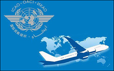 ضرورت تسریع در تصویب معاهده مقابله با مسافران متخلف در پروازهای بین المللی